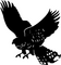 Alter Iron Club logo