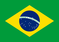 Team Brazil logo
