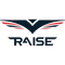 Raise Gaming logo