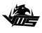 VwS Gaming logo