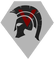 Veteran Team logo