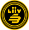 Liiv SANDBOX logo