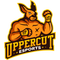 Uppercut esports logo