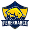 Fenerbahçe Academy logo