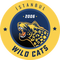 İstanbul Wildcats logo