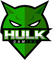 Hulk Gaming logo