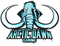 Arctic Dawn Gaming logo