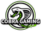 Cobra Gaming logo