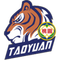 Taoyuan logo