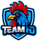 Team HD logo