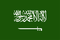 Team Saudi Arabia logo