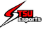 TSU Esports logo
