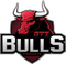 GTZ Bulls logo
