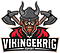 Vikingekrig Academy logo