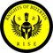 Knights of Bizertin Rise Yellow logo
