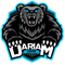 Team Dariam logo