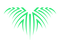 ROOTS logo