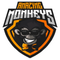 Amazing Monkeys logo