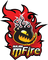 NaJin e-mFire logo
