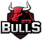 GTZ Bulls Academy logo