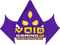 VG Phenomenon logo