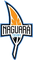 Naguará Team logo