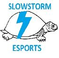 Slowstorm logo