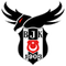 Beşiktaş Esports logo