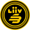 Liiv SANDBOX Gaming Academy logo