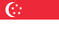 Singapore Team logo