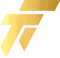 TT TEAM logo