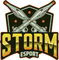 Storm Esport logo