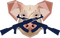 ZX