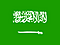 Team Saudi Arabia logo