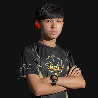 Tan «jjz» Jia Jun Dota 2, player biography, matches, statistics