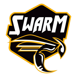 Team Swarm Dota 2, roster, matches, statistics