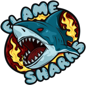 Team FS (Flame Sharks) CS:GO, roster, matches, statistics