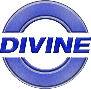 DN logo