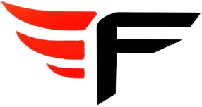 FVN logo