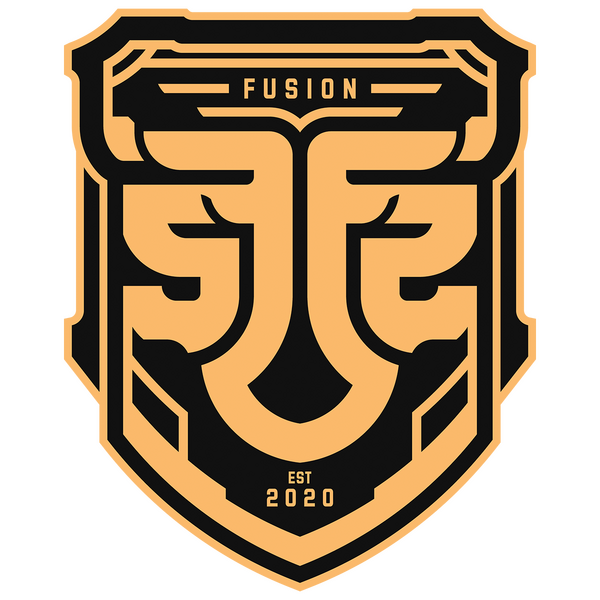 Team FS (FUSION) LoL, roster, matches, statistics