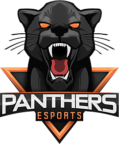 PANTHERS logo