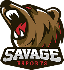 SAV logo
