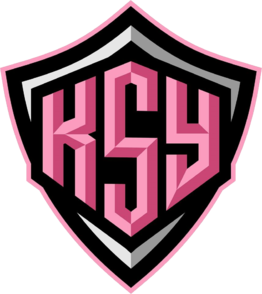 Team KSY Dota 2, roster, matches, statistics