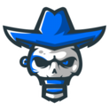 NKI logo