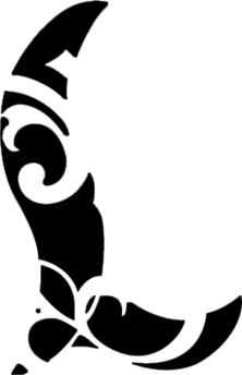 DNM logo