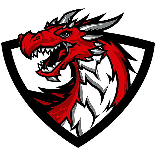 Team Dracarys CS:GO, roster, matches, statistics