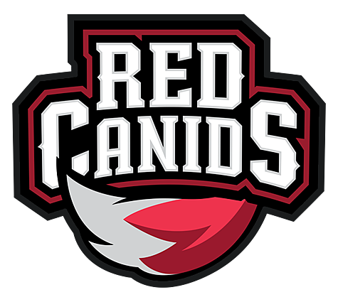 Team RedC (Red CS:GO, roster, matches, statistics