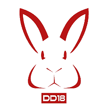 Team DD18 PUBG, roster, matches, statistics