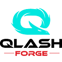 Q4G logo