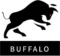 Team Buffalo (Buffalo Team) Dota 2, matches, statistics